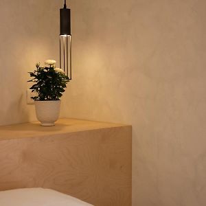 Habitación con Cama King